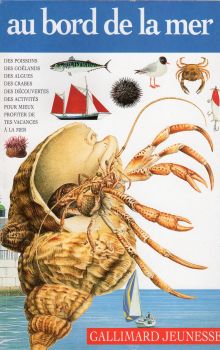 Sciences et techniques - Laurence MAQUET - Guides Gallimard jeunesse Elf Antar - Au bord de la mer