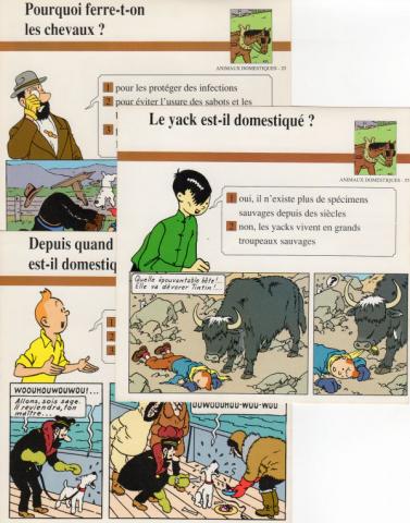 Hergé (Tintinophilie) - En voiture Tintin (Atlas) -  - Atlas - fiches Tintin - Animaux domestiques - 4/25/55 - 3 fiches (sur 83)