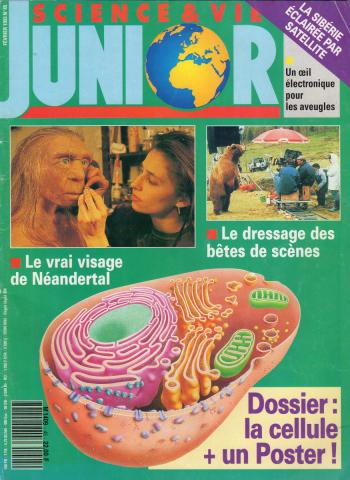 Science & Vie Junior n° 45 -  - Science & Vie Junior n° 45 - février 1993 - Dossier : la cellule/Le vrai visage du Néandertal/Le dressage des bêtes de scène/La Sibérie éclairée par satellite