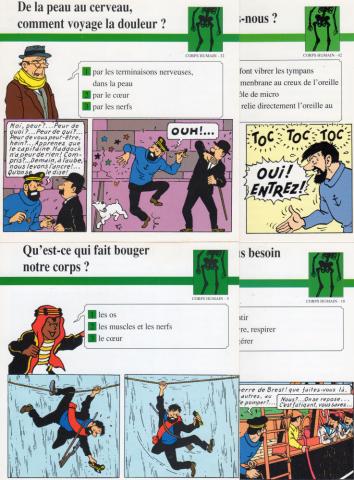 Hergé (Tintinophilie) - En voiture Tintin (Atlas) -  - Atlas - fiches Tintin - Corps humain - 5/18/32/42 - 4 fiches (sur 93)