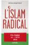 Politik, Gewerkschaften, Gesellschaft, Medien - Antoine-Joseph ASSAF - L'Islam radical