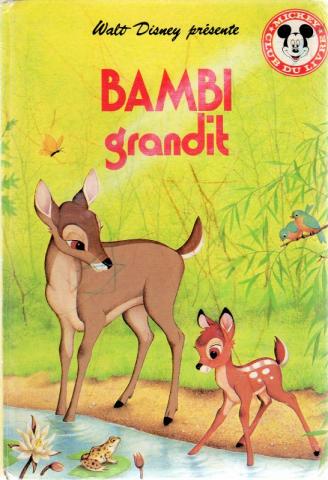 Varia (livres/magazines/divers) - Hachette Walt Disney - DISNEY (STUDIO) - Walt Disney présente - Bambi grandit