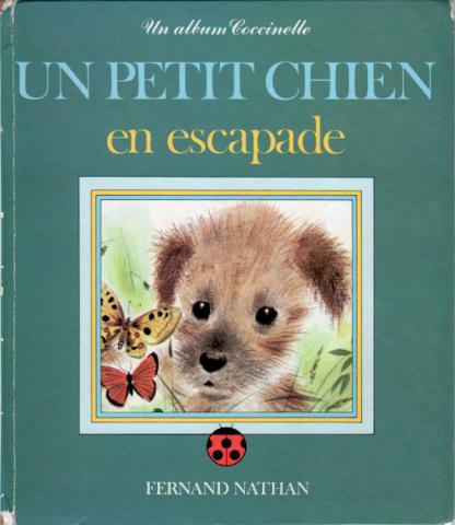 Varia (livres/magazines/divers) - Nathan hors collection - Romain SIMON - Un petit chien en escapade