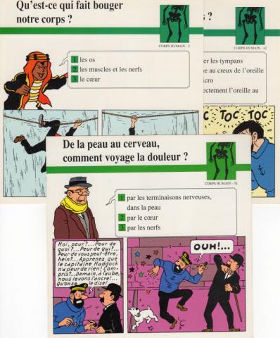 Bande Dessinée - Hergé (Tintinophilie) - Atlas -  - Atlas - fiches Tintin - Corps humain - 5/32/42 - 3 fiches (sur 93)