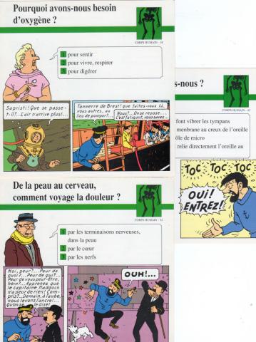 Bande Dessinée - Hergé (Tintinophilie) - Atlas -  - Atlas - fiches Tintin - Corps humain - 18/32/42 - 3 fiches (sur 93)
